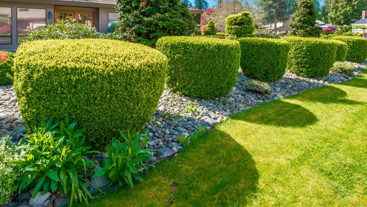 Well-maintained garden featuring rounded green hedges, colorful plants, and decorative stone borders under bright sunlight. Huron, OH.