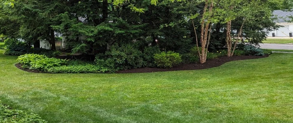 Lawn and lush plants in Huron, OH.
