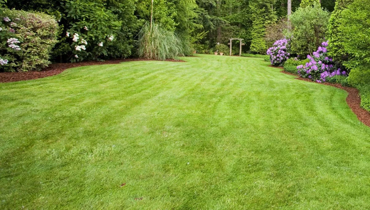Green, healthy grass with plants on each side in Huron, OH.