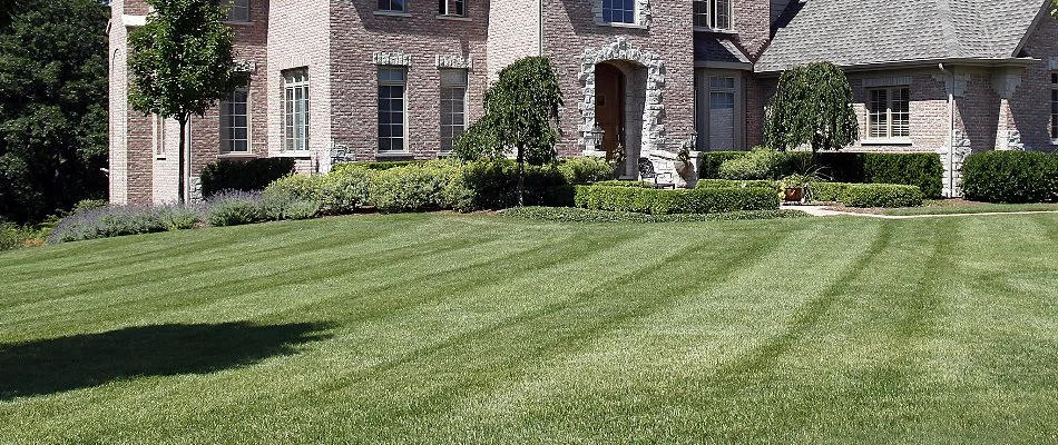 Freshly mowed grass on a residential property in Huron, OH.