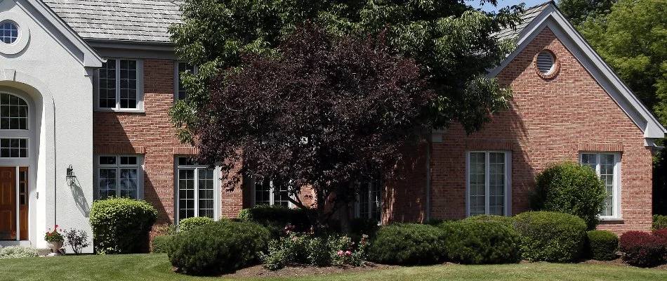 Healthy, lush trees and shrubs by a house in Huron, OH.