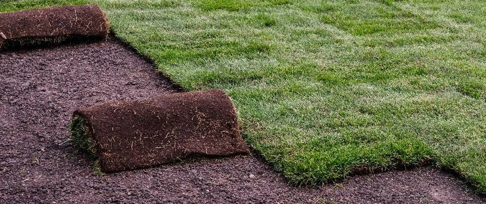 Installing sod on soil in Huron, OH.