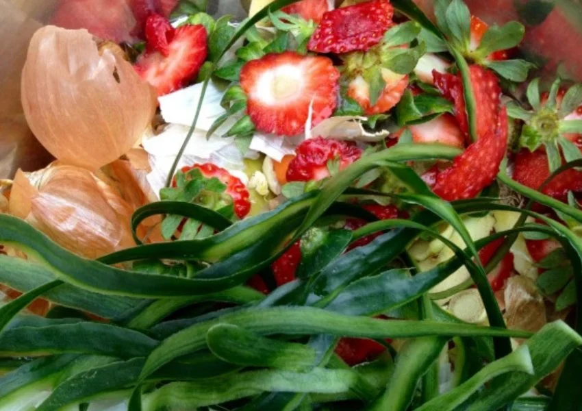 Compostable kitchen food waste in Huron, OH.