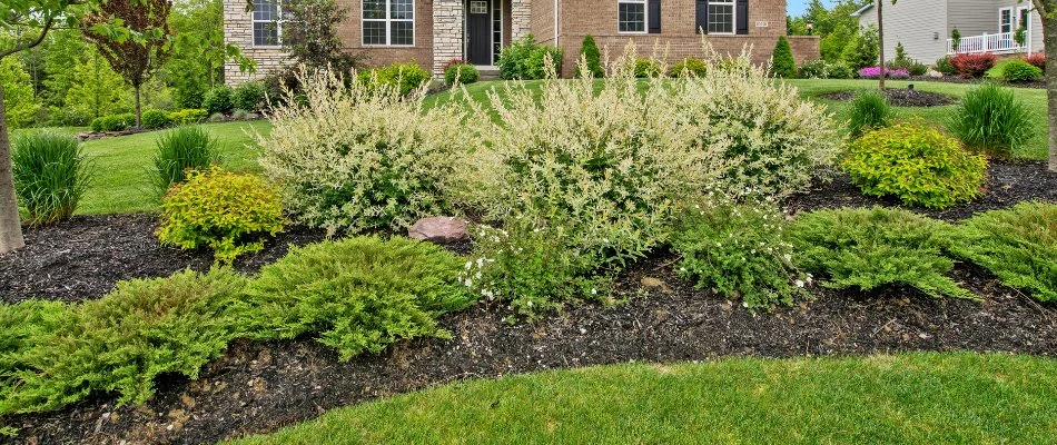 Landscape bed in Port Clinton, OH, with mulch, shrubs, and flowers.