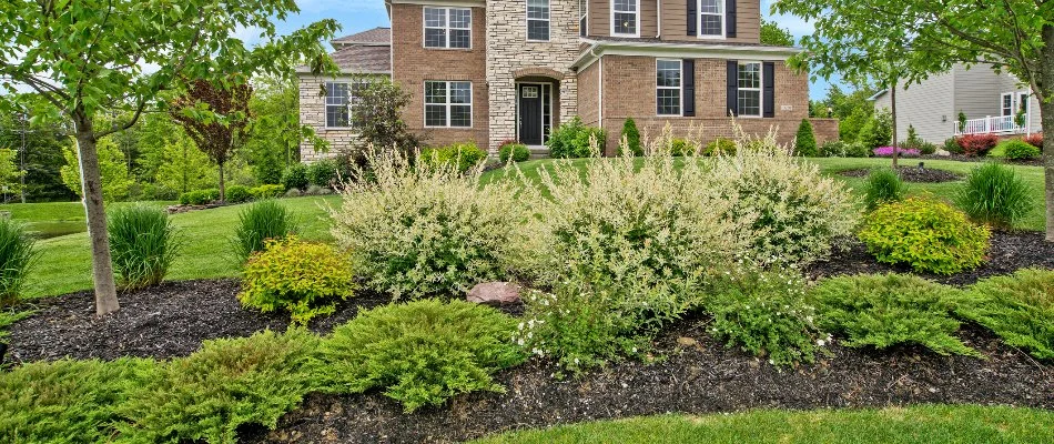 Plants in a landscape bed in Huron, OH.