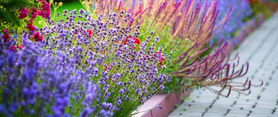 Landscape in Huron, OH, with colorful flowers and plants.