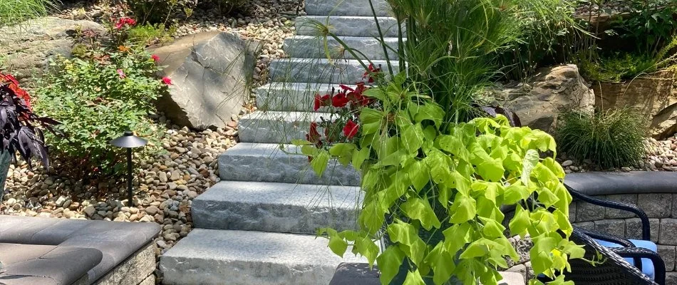 Landscaping along outdoor steps in Huron, OH.