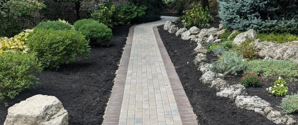 Black mulch on a landscape in Huron, OH, with small plants.