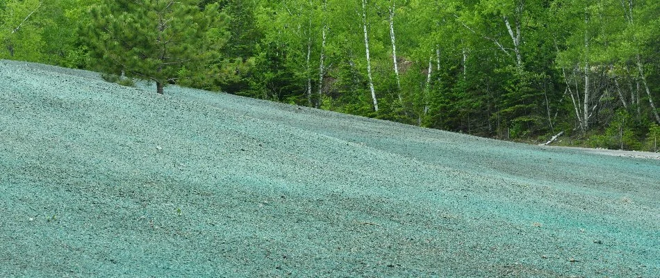 Soil in Huron, OH, after hydroseeding.