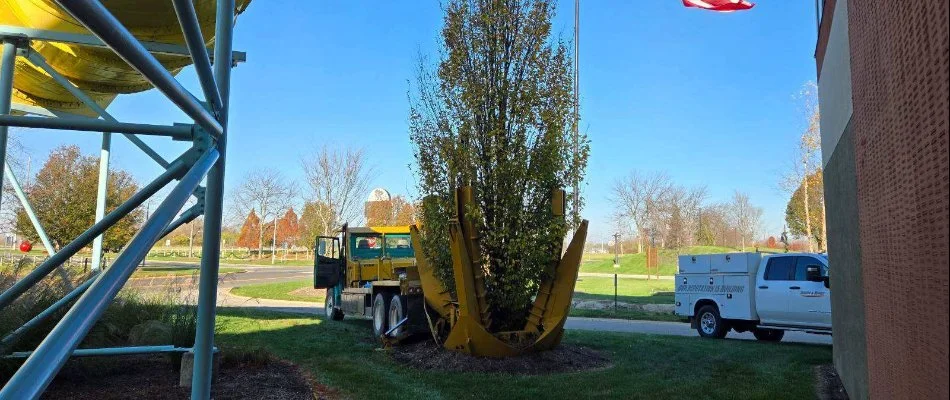 Tree being transplanted on a property in Huron, OH.