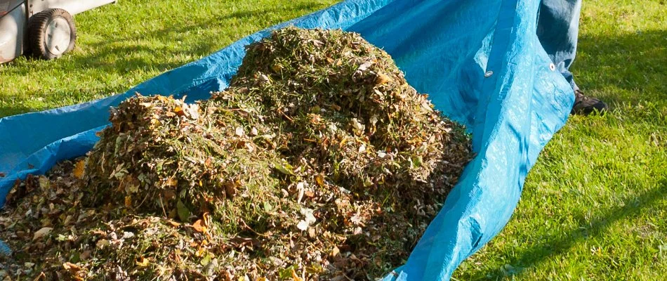 Yard debris on a tarp in Huron, OH.